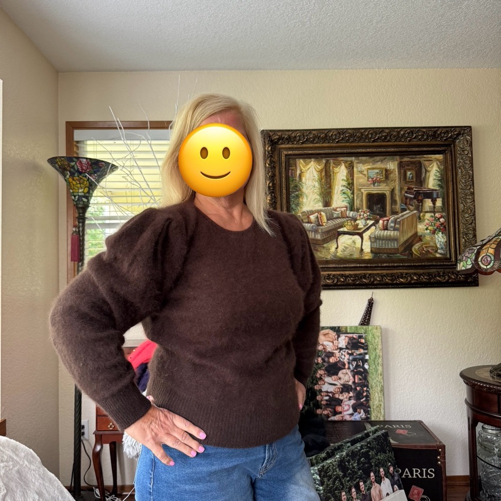 Venesha Vintage Women's Brown Angora Sweater